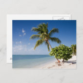 Florida - Sombrero Beach Postkarte (Vorne/Hinten)