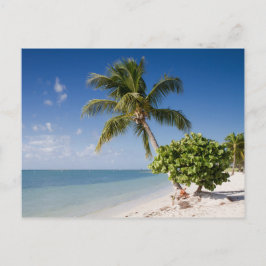 Florida - Sombrero Beach Postkarte