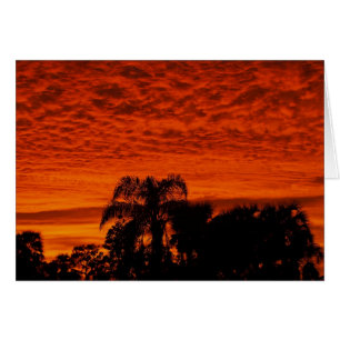 Florida-Sonnenuntergang