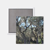 Florida Spanish Moss Magnet (Vorderseite/Rückseite)