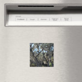 Florida Spanish Moss Magnet (In Situ (Geschirrspüler))