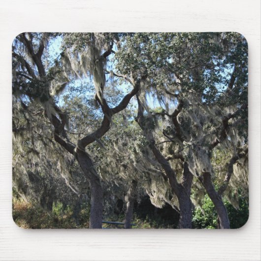 Florida Spanish Moss Mousepad (Vorne)