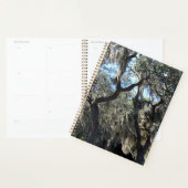 Florida Spanish Moss Planer (Anzeige)
