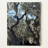 Florida Spanish Moss Planer (Rückseite)