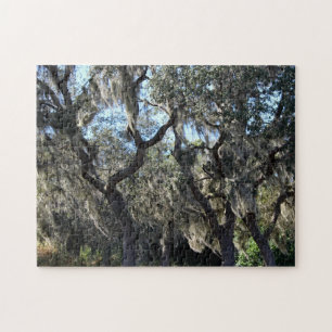 Florida Spanish Moss Puzzle