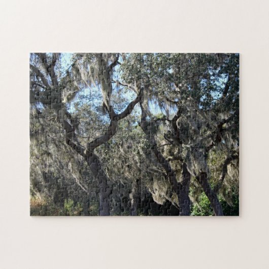 Florida Spanish Moss Puzzle (Horizontal)