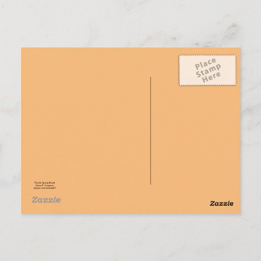 "FLORIDA SPRING BREAK POSTCARD 2024 POSTKARTE (Rückseite)