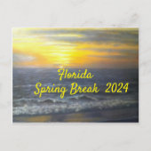 "FLORIDA SPRING BREAK POSTCARD 2024 POSTKARTE (Vorderseite)