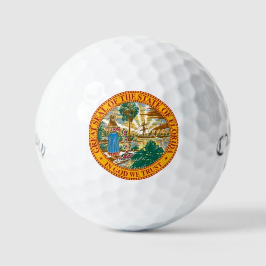 Florida Staat 12 Callaway Golfplätze Golfball (Vorderseite)