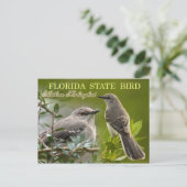 Florida Staat Bird - Mockingbird Postkarte (Stehend Vorderseite)