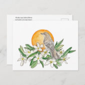 Florida Staat Bird und Blume Postkarte (Vorne/Hinten)