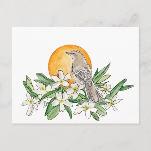 Florida Staat Bird und Blume Postkarte (Vorderseite)