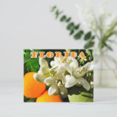 Florida Staat Blume: Das orange Blossom Postkarte (Stehend Vorderseite)