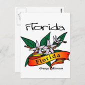 Florida Staat Blume Orange Blossom Postkarte (Vorne/Hinten)