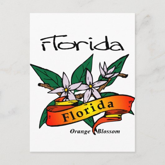 Florida Staat Blume Orange Blossom Postkarte (Vorderseite)