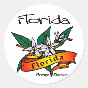 Florida Staat Blume Orange Blossom Runder Aufkleber
