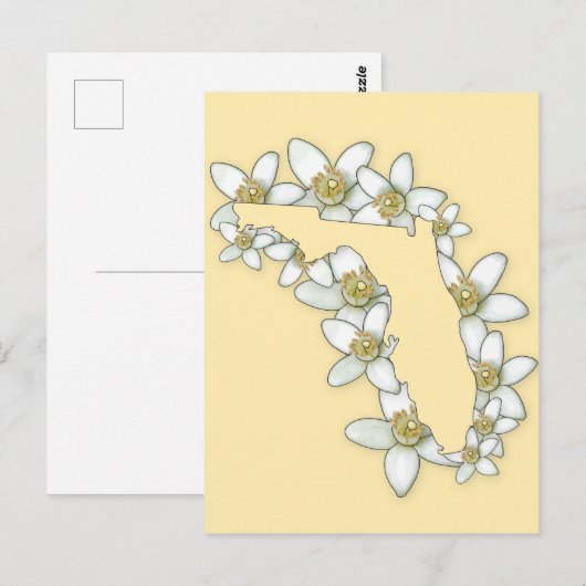 Florida Staat Blume Postkarte (Vorne/Hinten)