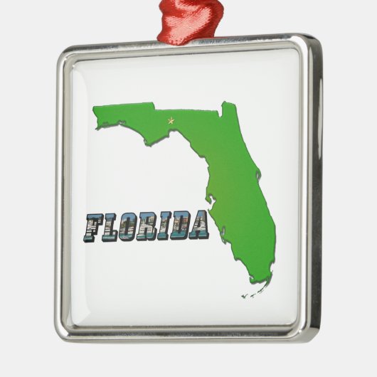 Florida Staat Map and Text Ornament Aus Metall (Links)