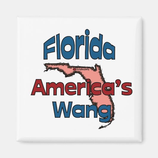Florida Staat Motto ~ Amerikas Wang Magnet (Vorne)
