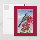 Florida Staat Vogel und Blume (Spottdrossel) Postkarte (Vorne/Hinten)