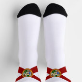Florida State flag Socken (Oben)