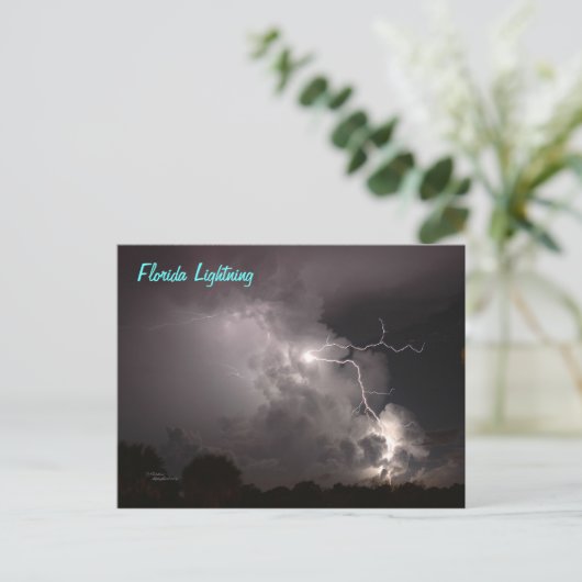 Florida Storm Lightning Postcard Postkarte (Stehend Vorderseite)