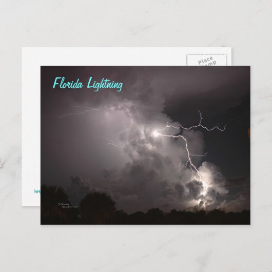 Florida Storm Lightning Postcard Postkarte (Vorne/Hinten)