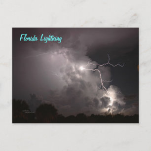 Florida Storm Lightning Postcard Postkarte