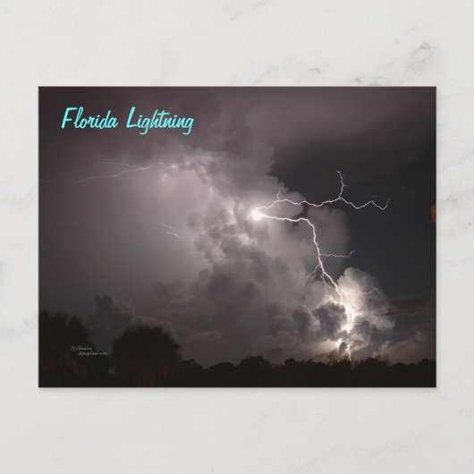 Florida Storm Lightning Postcard Postkarte (Vorderseite)