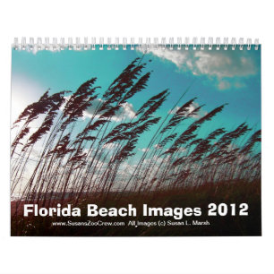 Florida-Strand-Bild-Fotos Kalender
