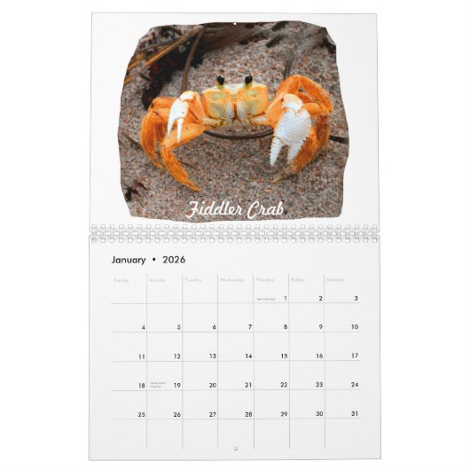 Florida-Strand-Bild-Fotos Kalender (Jan 2026)