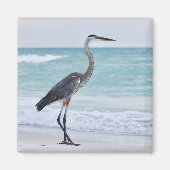 Florida-Strandvögel Magnet (Vorne)
