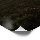 Florida Sunrise Beach Foto Cocoa Beach Florida Poster (Ecke)