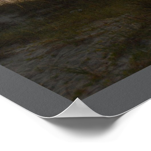 Florida Sunrises Print, Value Poster Paper (Matte) (Ecke)