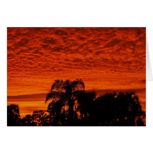 Florida Sunset (Vorderseite (Horizontal))