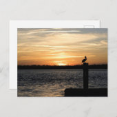 Florida Sunset mit Pelican Postkarte (Vorne/Hinten)