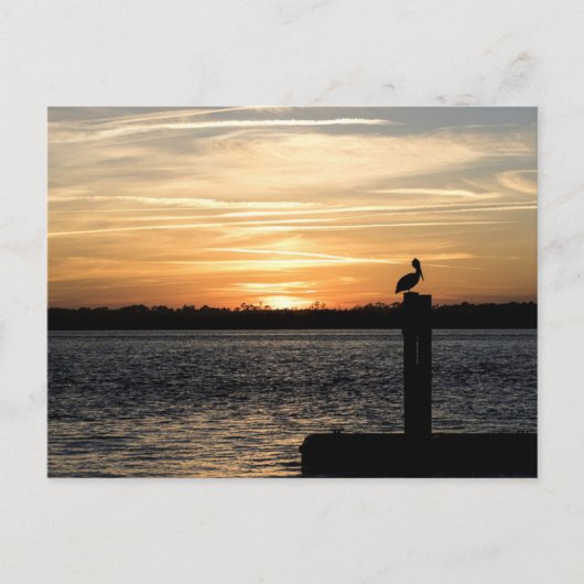 Florida Sunset mit Pelican Postkarte (Vorderseite)