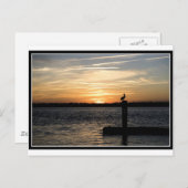 Florida Sunset mit Pelican Postkarte (Vorne/Hinten)