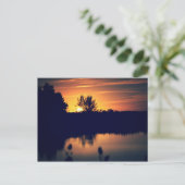 Florida Sunset Postcard Postkarte (Stehend Vorderseite)