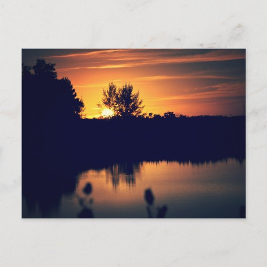 Florida Sunset Postcard Postkarte (Vorderseite)