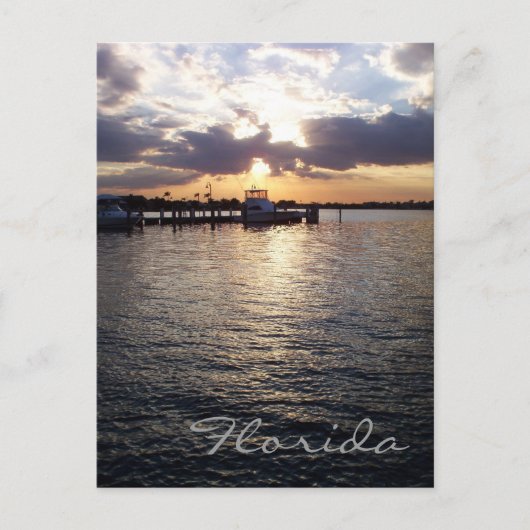 Florida Sunset Postcard Postkarte (Vorderseite)