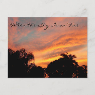 Florida Sunset Postcard / Wenn der Himmel brennt Postkarte