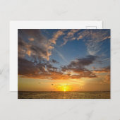 Florida Sunset - Postkarte (Vorne/Hinten)