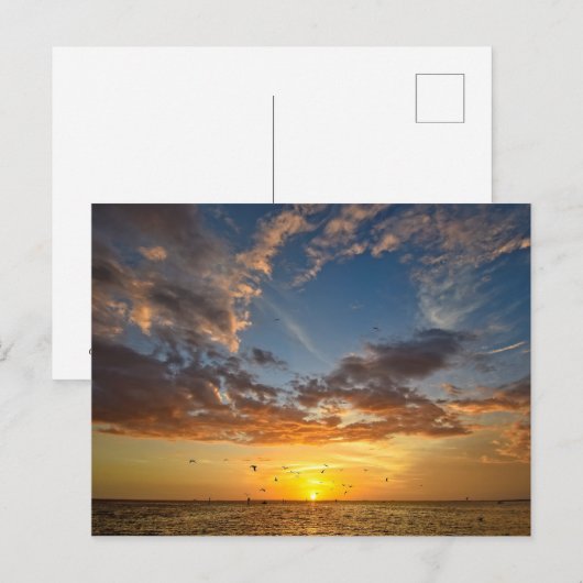 Florida Sunset - Postkarte (Vorne/Hinten)