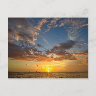 Florida Sunset - Postkarte