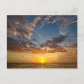 Florida Sunset - Postkarte (Vorderseite)