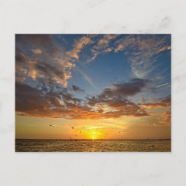 Florida Sunset - Postkarte