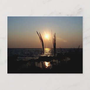 Florida Sunset Postkarte