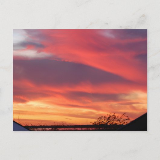 Florida Sunset Postkarte (Vorderseite)