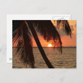Florida Sunset Postkarte (Vorne/Hinten)